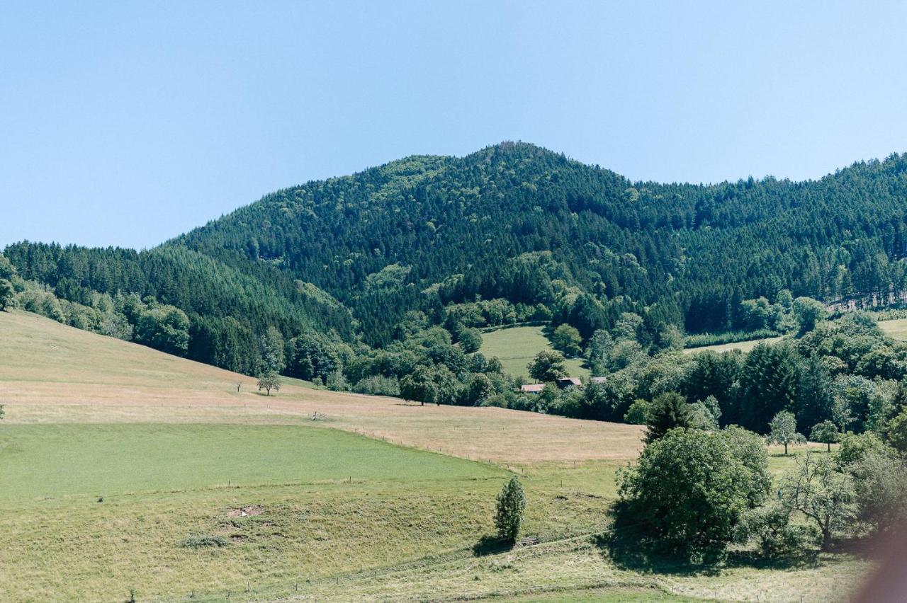 Moderne 2 Zi.-Fewo Blackforestart Naehe Freiburg Зимонсвальд Экстерьер фото